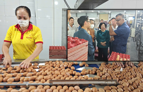 Tiếc cho thương hiệu trứng sạch Ba Huân