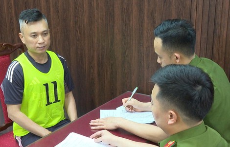 VIDEO: Phá trường gà xuyên quốc gia, giao dịch hơn 1.200 tỉ đồng