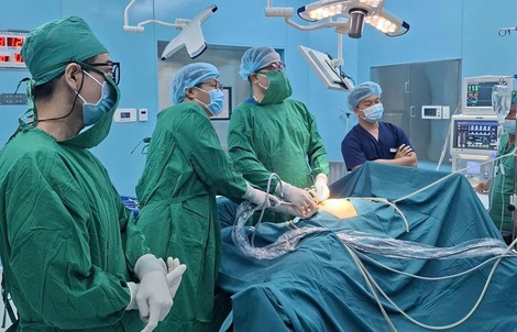 Y tế TP HCM đột phá với mô hình đa tầng - đa cực