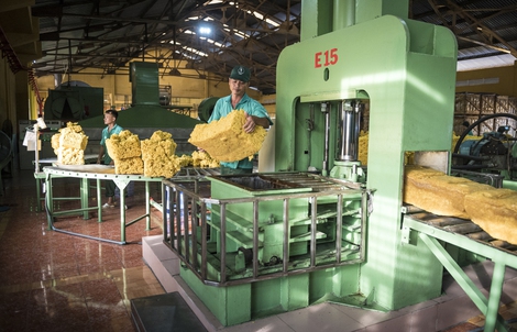 VRG quyết liệt triển khai Nghị quyết 79 về phát triển kinh tế nhà nước