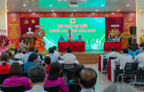 Bình Điền vượt 10.000 tỉ đồng doanh thu, khẳng định vị thế dẫn đầu ngành phân bón