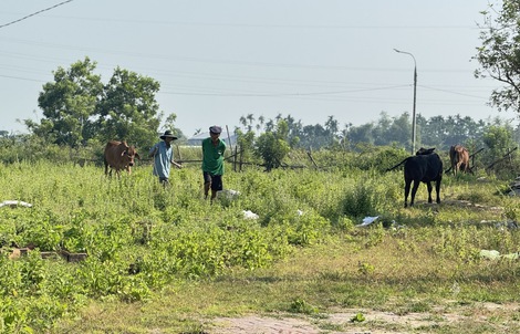 Dự án khu dân cư 186 tỉ "mắc cạn" bên sông Vệ gần chục năm