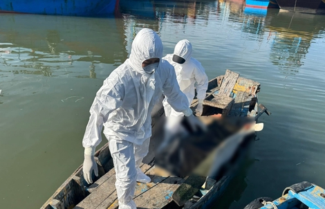 Phát hiện thi thể 1 người đàn ông khoảng 50 tuổi tại ụ Ba Thám