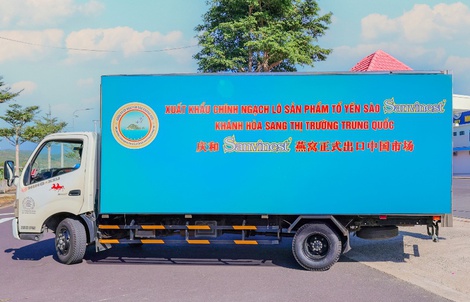 Yến sào Khánh Hòa đẩy mạnh xuất khẩu sang Trung Quốc