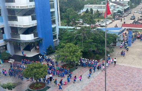 TPHCM: Hiệu trưởng Trường Tiểu học Lương Thế Vinh nói gì sau khi xin thôi chức?