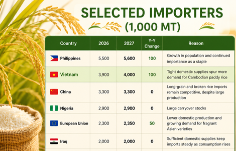 Mỹ dự báo Việt Nam nhập khẩu gạo nhiều hơn cả Trung Quốc, tiếp tục xếp thứ 2 thế giới