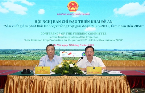 Mở rộng trồng trọt giảm phát thải, nâng cao thu nhập cho nông dân
