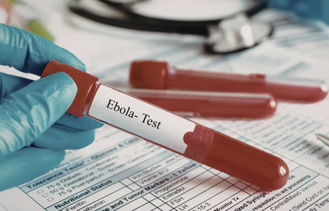 TPHCM tăng cường giám sát cửa khẩu, chủ động phòng nguy cơ dịch bệnh Ebola xâm nhập