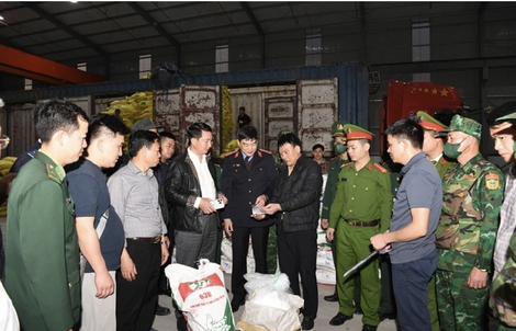 Một Trưởng khoa Dược bị bắt