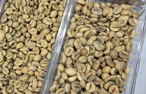 Giá cà phê hôm nay, 19-5: Giảm nhưng có tin vui từ thị trường Mỹ