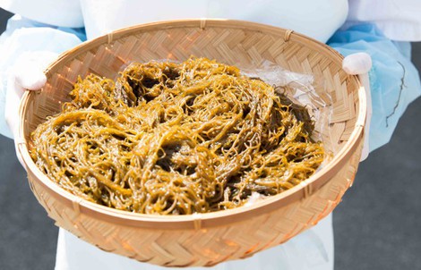 Fucoidan và xu hướng bảo vệ sức khỏe từ bên trong