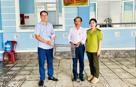 Phát hiện con vật quý hiếm, dài 70cm nằm giữa đồng ruộng