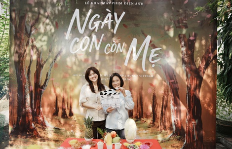 Hồng Đào từ "mẹ chồng" hụt đến "mẹ ruột" Phương Anh Đào