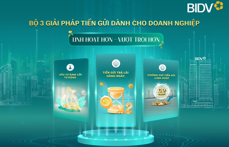 BIDV cung cấp giải pháp tiền gửi vượt trội cho doanh nghiệp