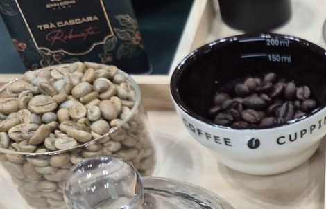 Giá cà phê hôm nay 4-5: Liệu Robusta có về lại mốc 4.000 USD/tấn?