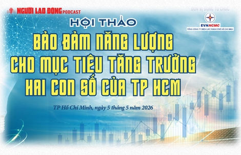 Thiết thực Hội thảo "Bảo đảm năng lượng cho mục tiêu tăng trưởng 2 con số của TPHCM"