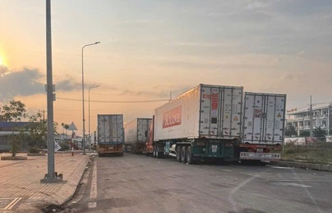 Chủ tịch Thành phố Đồng Nai chỉ đạo ‘nóng’ vụ ùn ứ hàng trăm xe container sầu riêng