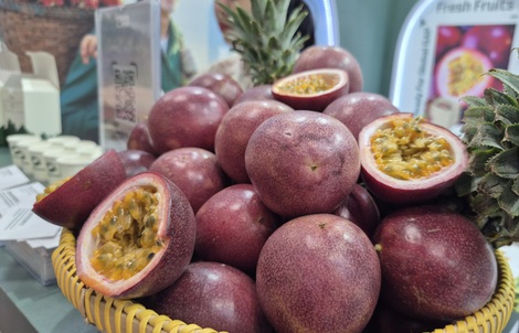 Forget durian - Europe is hooked on this Vietnamese fruit