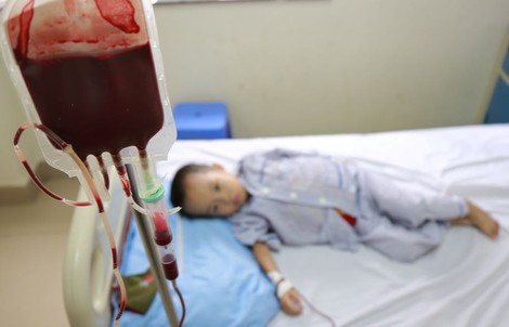 14 triệu người Việt mang gen thalassemia mà không hay biết