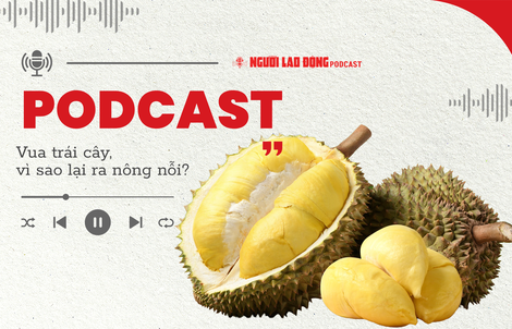Sầu riêng - "vua" trái cây: Vì sao ra nông nỗi?