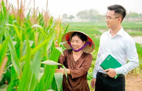 Bảo hiểm nông nghiệp - Chìa khóa mở cánh cửa tín dụng xanh