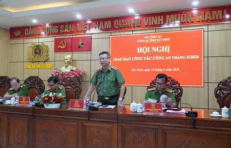 623 đối tượng liên quan ma túy "sa lưới" ở Tây Ninh