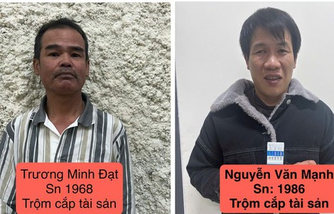 Khởi tố nhóm bắt trộm 124 con chó ở Đà Lạt