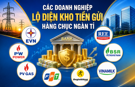 Không riêng EVN, nhiều "ông lớn" cũng có hàng chục ngàn tỉ đồng gửi ngân hàng
