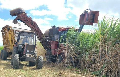Đường lậu, không rõ nguồn gốc vẫn tràn lan