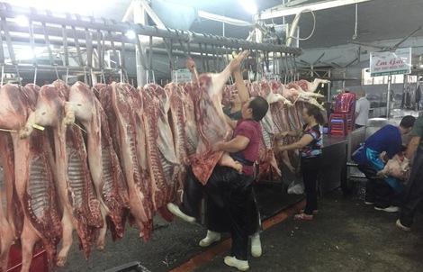 Giá heo hơi hôm nay, 14-6: Chợ đầu mối quay đầu tăng