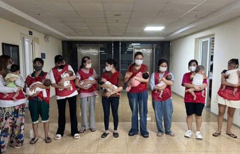 Triệt phá hoạt động môi giới mang thai hộ, mua bán trứng, thu lợi bất chính hàng trăm triệu đồng