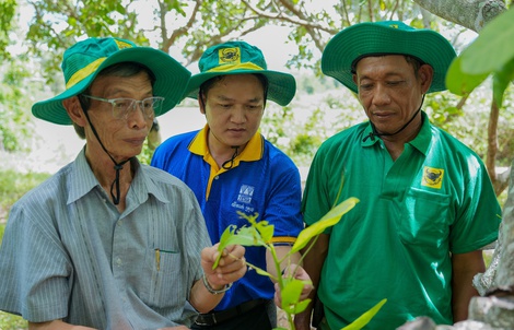 Mang giải pháp dinh dưỡng khoa học cho Điều Campuchia: Hành trình kiến tạo mùa vàng thịnh vượng