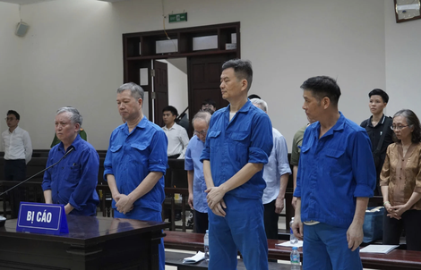 Cựu Tổng giám đốc Vicem được giảm án 2 năm tù