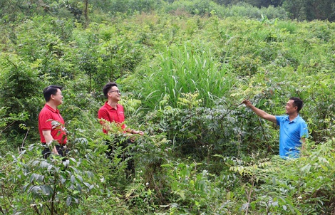 Agribank - Từ dòng tín dụng chủ lực đến chiến lược “Phụng sự từ trái tim” (Kỳ cuối)