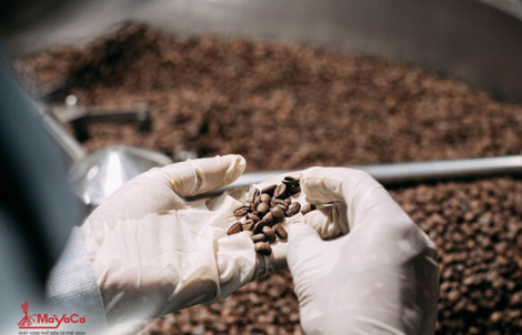 MaYaCa xây dựng nhà máy cà phê đạt chuẩn ISO 22000:2018 ở Đà Nẵng