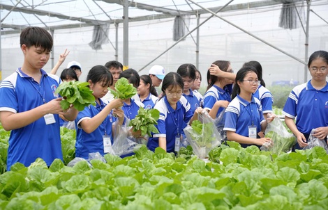 100 học sinh trải nghiệm nghề truyền thống và nông nghiệp công nghệ cao