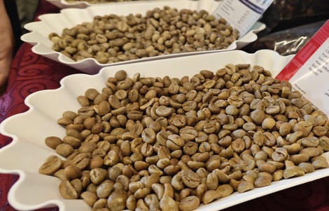Giá cà phê hôm nay, 27-6: Robusta giao ngay vẫn "nóng"