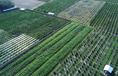 Gần 100 tác phẩm lan tỏa, bảo vệ giá trị ngành nghề nông thôn