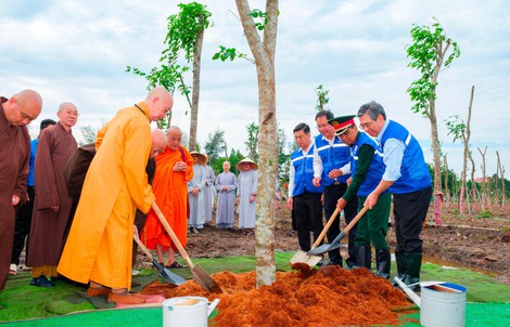 Gieo mầm xanh, vun đắp khối đại đoàn kết giữa lòng TPHCM