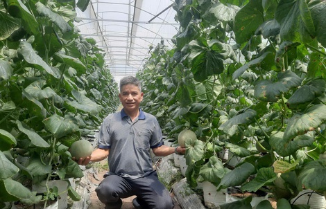 Đưa sản phẩm sạch, an toàn đến người tiêu dùng