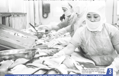 Báo in ngày 8-6: Tổ chức kỳ thi tốt nghiệp THPT an toàn, nghiêm túc