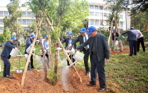 Rừng thêm đại thụ - phố thêm cây xanh