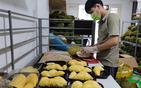 Bộ trưởng Lê Minh Hoan lo nông dân đổ xô trồng sầu riêng, chanh leo