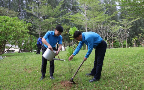 Khánh Hoà: Mỗi đoàn viên Công đoàn trồng 1 cây xanh