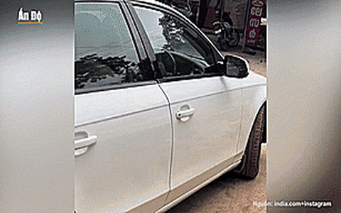 Dậy sóng mạng xã hội, lái Audi đến chợ để... bán rau