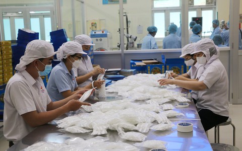 Khánh Hòa: Lao động có kinh nghiệm việc làm chiếm tỉ lệ cao