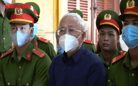 VIDEO: Ông Trần Phương Bình lãnh 20 năm tù