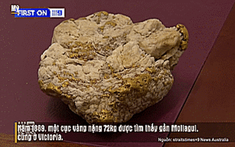 Một người "lụm" được cục đá chứa 2,6kg vàng