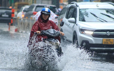 Cuối tuần mưa lớn, đường ngập, cây đổ ở TP HCM