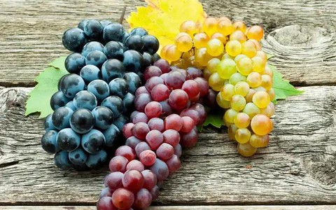 Sau 2 tuần ăn nho mỗi ngày, “điều kỳ lạ” này đã xảy ra